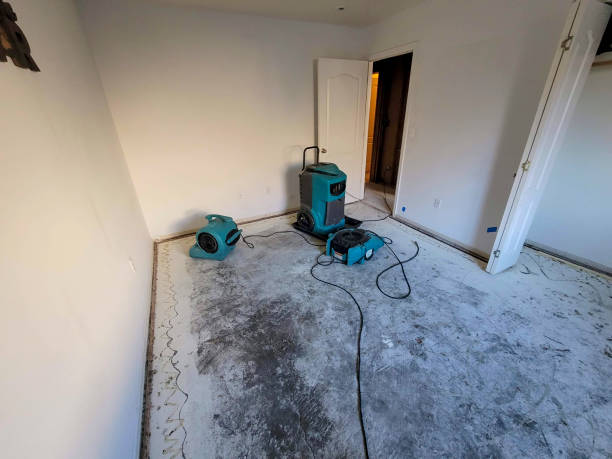 Best Flooded house restoration  in Cudahy, WI