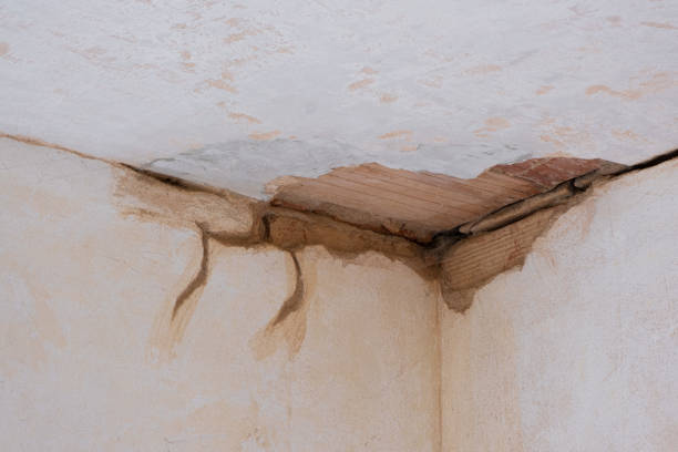 Water damage restoration mold remediation in Cudahy, WI